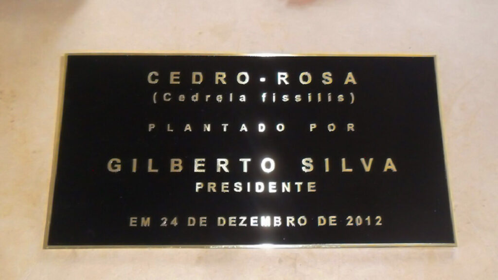 Placas em baixo relevo