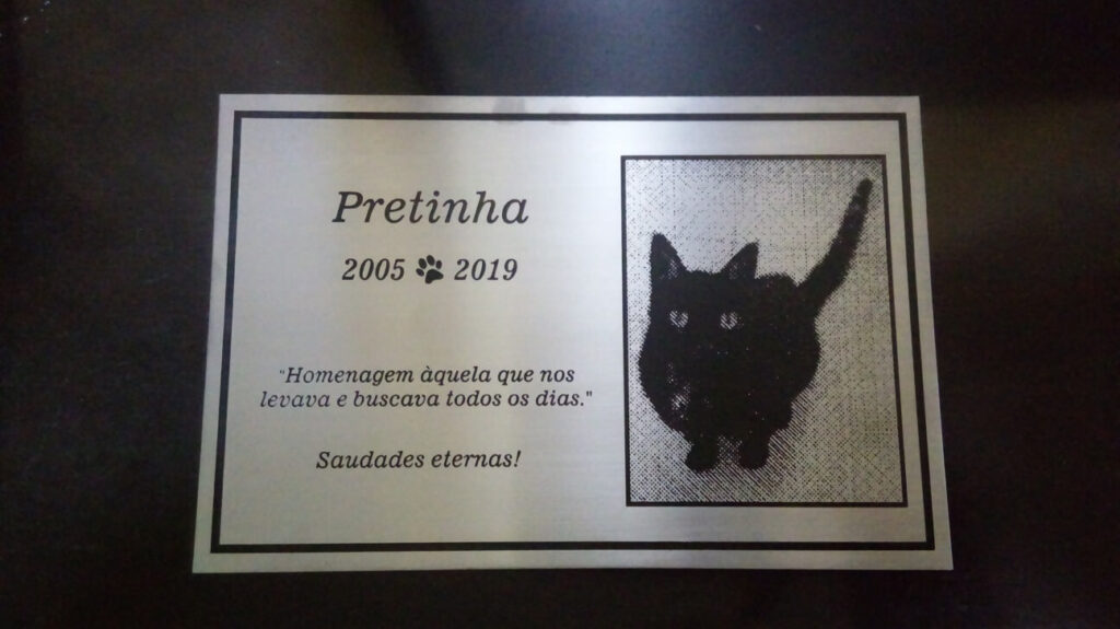 Placas em baixo relevo